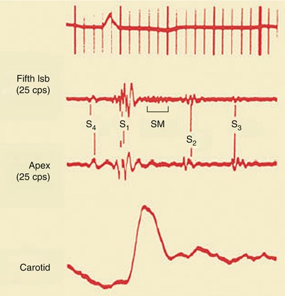 A301956_1_En_15_Fig26_HTML.jpg