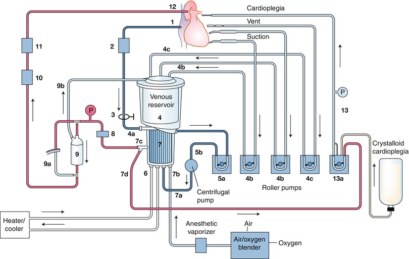 A301956_1_En_25_Fig14_HTML.jpg