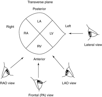 A301956_1_En_5_Fig9_HTML.jpg