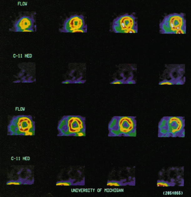 A319641_1_En_10_Fig2_HTML.jpg