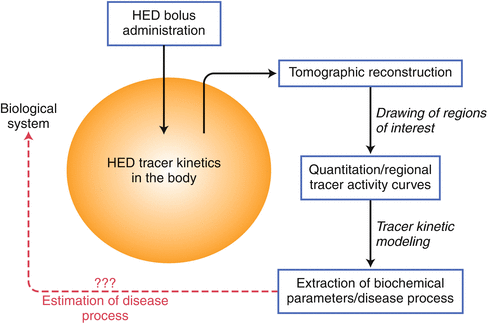 A319641_1_En_5_Fig2_HTML.gif