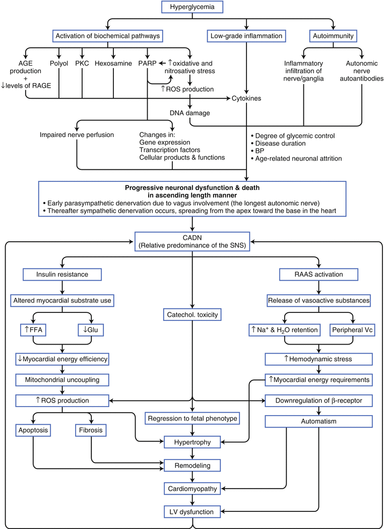 A319641_1_En_9_Fig7_HTML.gif