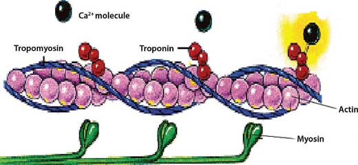 Fig03-01.jpg