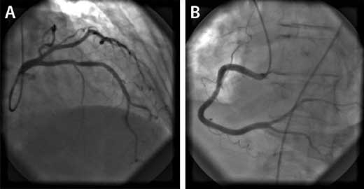 Fig03-03.jpg