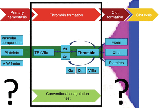 Coagulation Monitoring | Thoracic Key