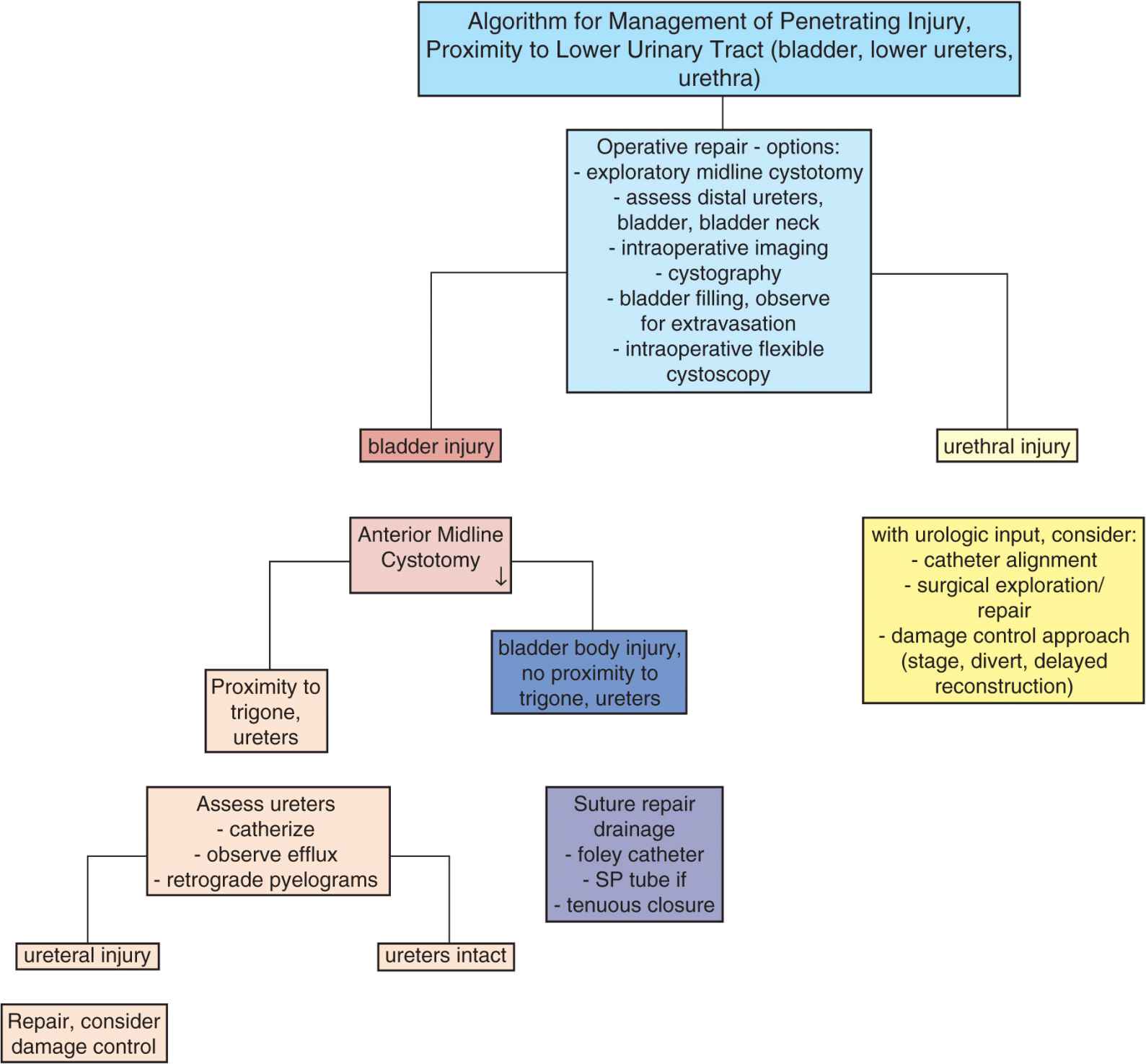 Genitourinary Trauma | Thoracic Key