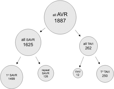 Transcatheter Valve-in-valve Replacement Of Degenerated Bioprosthetic ...