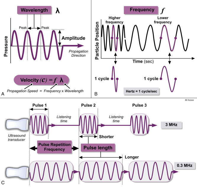 Physical Principles Of Ultrasound And Generation Of Images | Thoracic Key