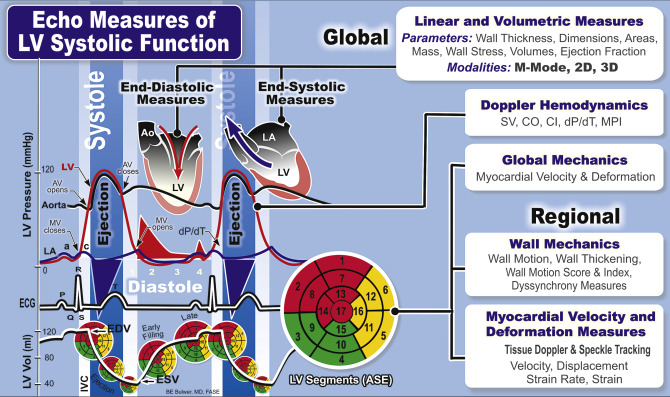 Assessment Of Left Ventricular Systolic Function | Thoracic Key