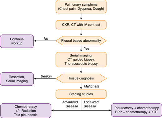 Benign And Malignant Pleural Tumors | Thoracic Key