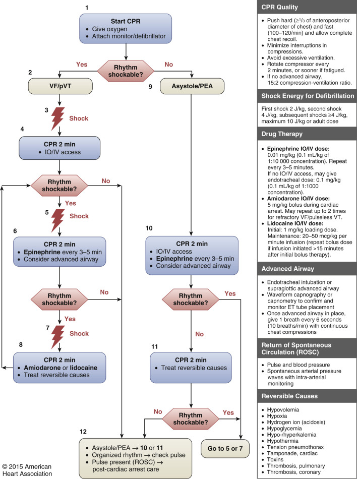 Cardiopulmonary Resuscitation (CPR) In Children With Heart Disease ...