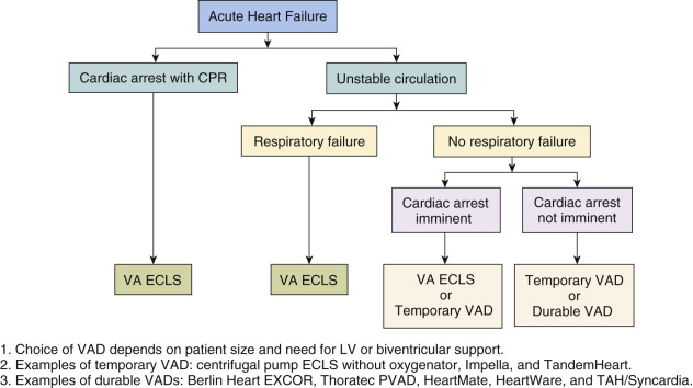 Cardiopulmonary Resuscitation (CPR) In Children With Heart Disease ...