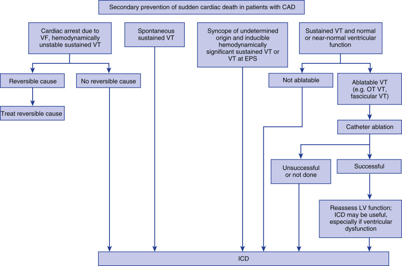 Prevention Of Sudden Cardiac Death | Thoracic Key