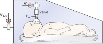 Pulmonary Function Tests In Infants And Children | Thoracic Key