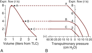 Pulmonary Function Tests In Infants And Children | Thoracic Key