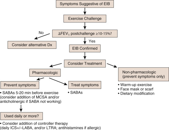 Exercise And Lung Function In Child Health And Disease | Thoracic Key