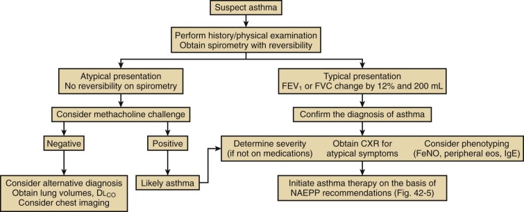 Asthma: Clinical Diagnosis And Management | Thoracic Key