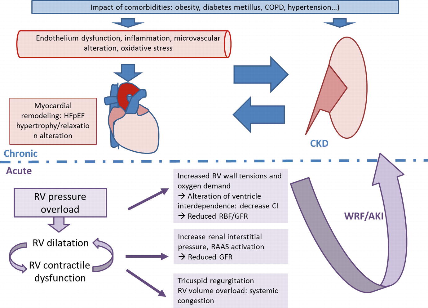 What Is Left Ventricular Failure - vrogue.co