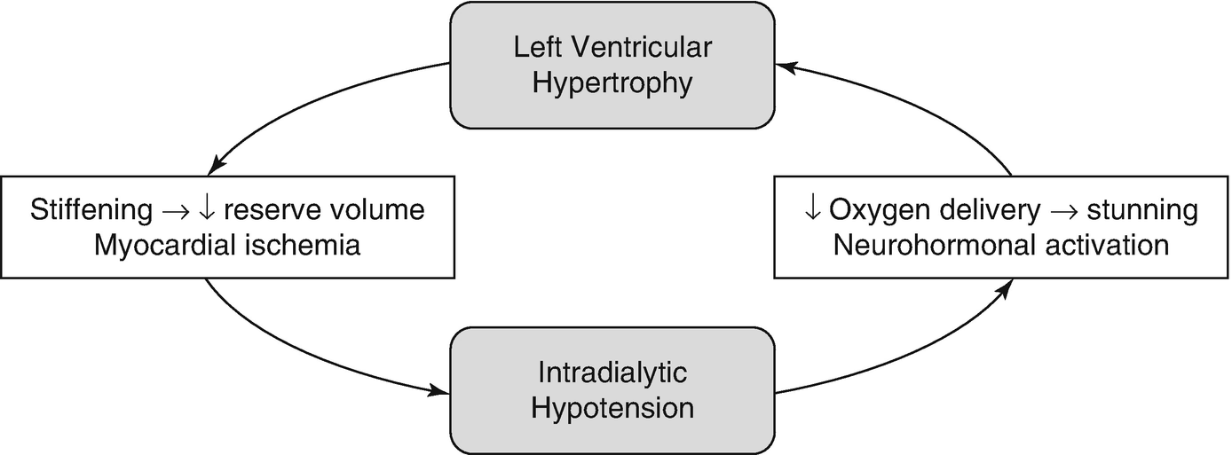 ../images/428117_1_En_8_Chapter/428117_1_En_8_Fig2_HTML.png