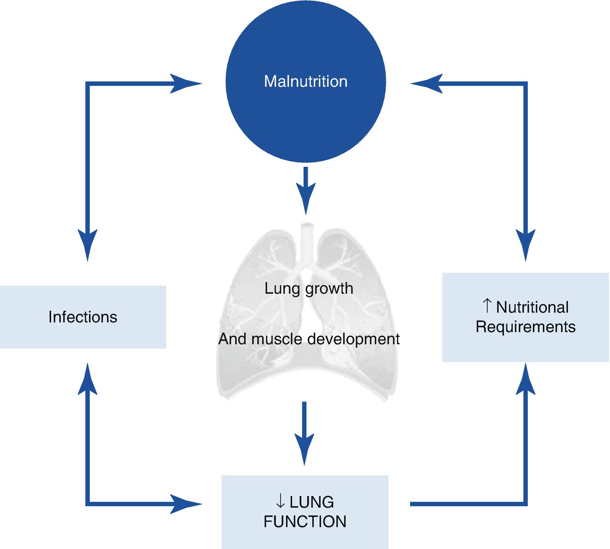 In Chronic Respiratory Disease Thoracic Key