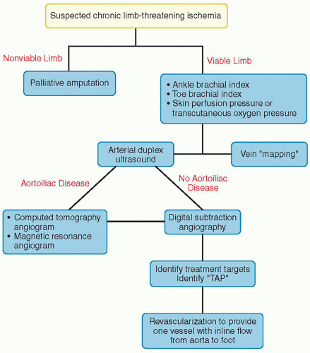 Peripheral Arterial Disease | Thoracic Key