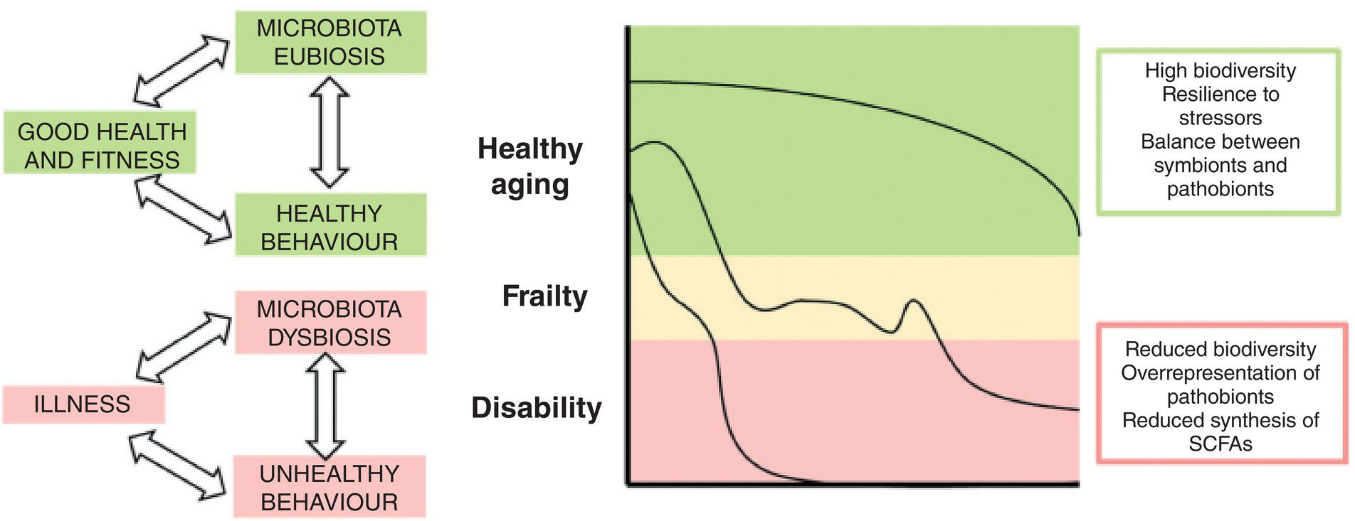 10: The Role Of Plant‐based Diets On Healthy Aging | Thoracic Key